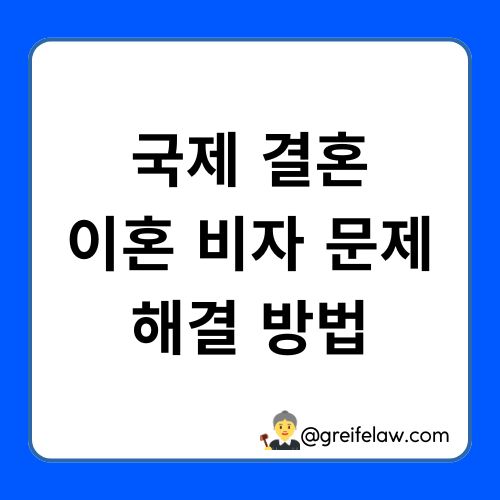 비자 문제